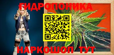 прущие крисы Партизанск
