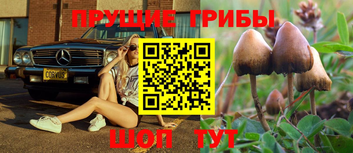 Псков  Псилоцибиновые грибы ЛСД  Вход с VPN  Галлюциногенные грибы мицелий 
