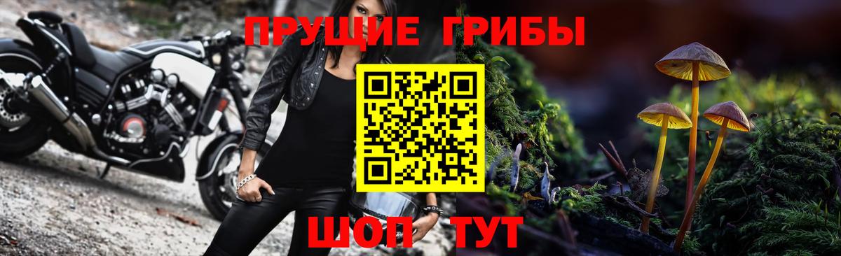Псилоцибиновые грибы MAGIC MUSHROOMS Псков